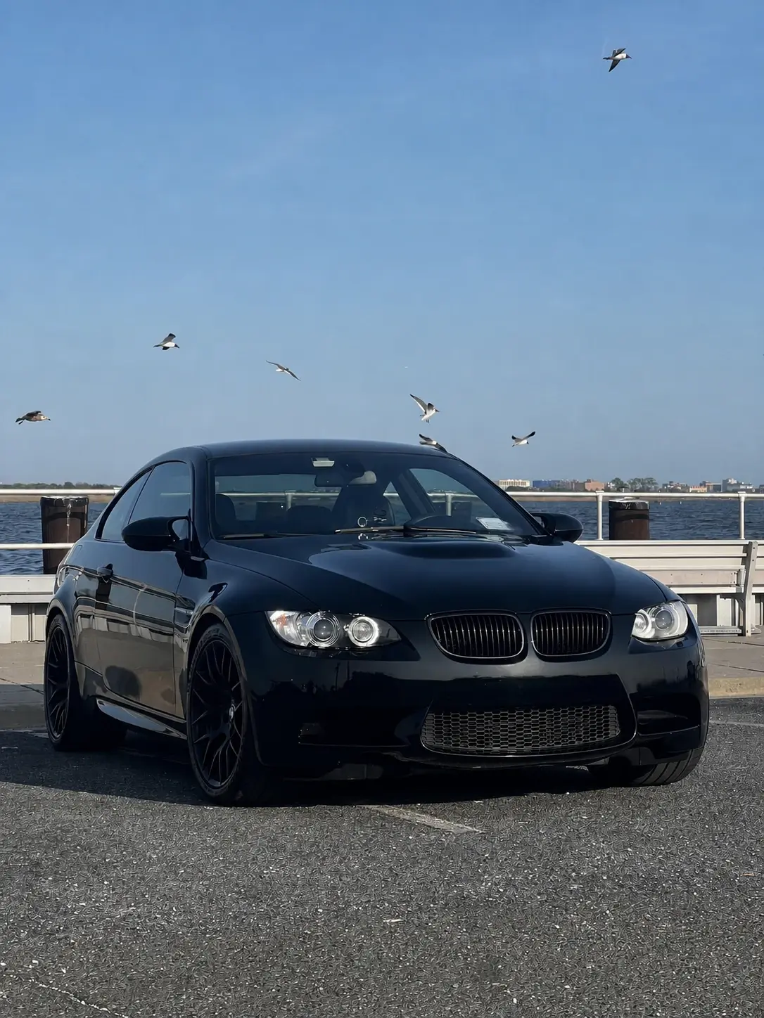 Black performance coupe parked at a waterfront beneath a flock of birds